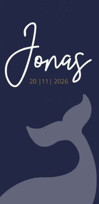 Geboortekaartje jongen silhouet walvis Jonas