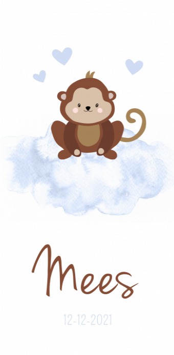 Geboortekaartje aap op blauwe wolk Mees