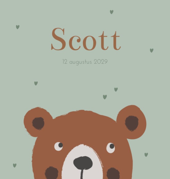 Geboortekaartje jongen beer Scott