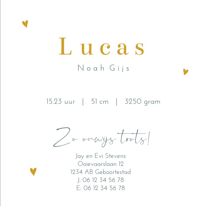 Geboortekaartje jongen beer waterverf Lucas