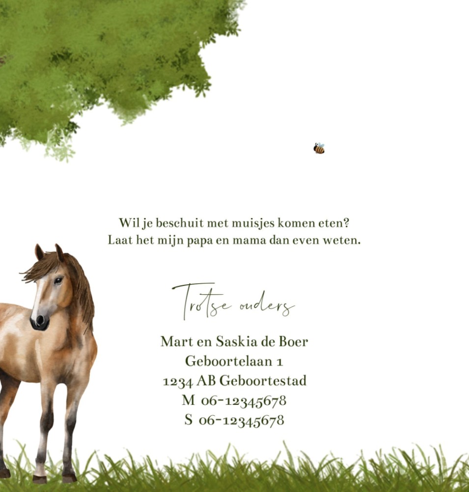 kaart binnenzijde links