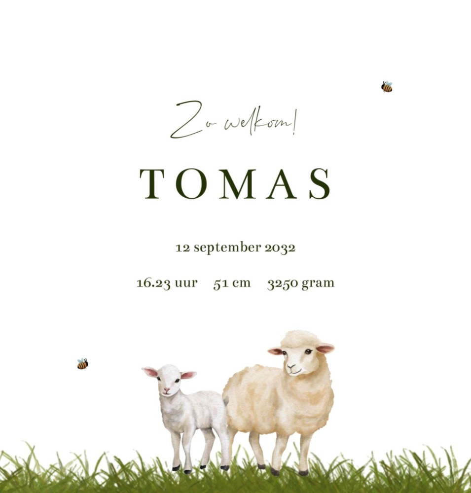 kaart binnenzijde rechts