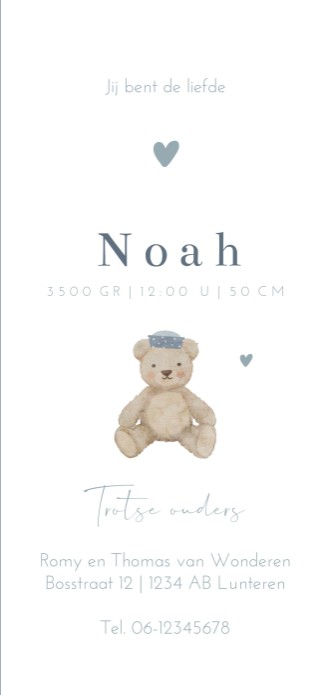 Geboortekaartje jongen teddybeer boot Noah