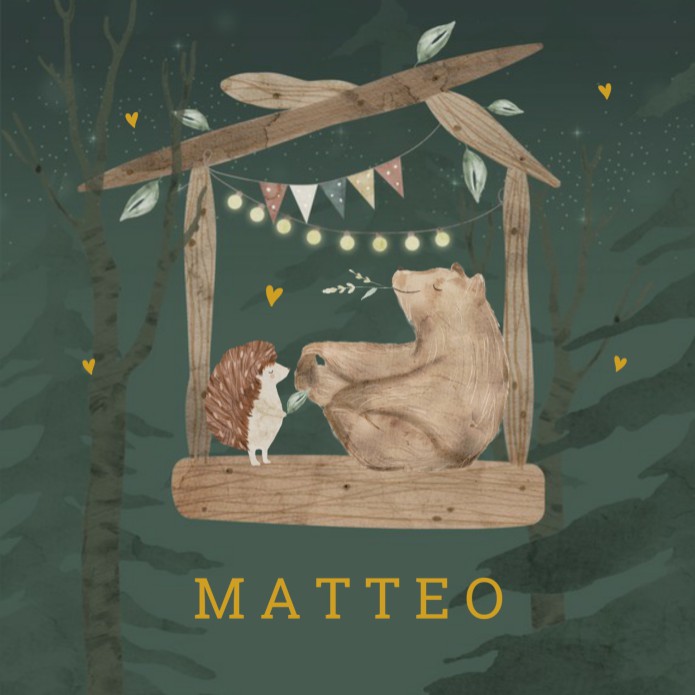 Geboortekaartje jongen beer egel Matteo voor