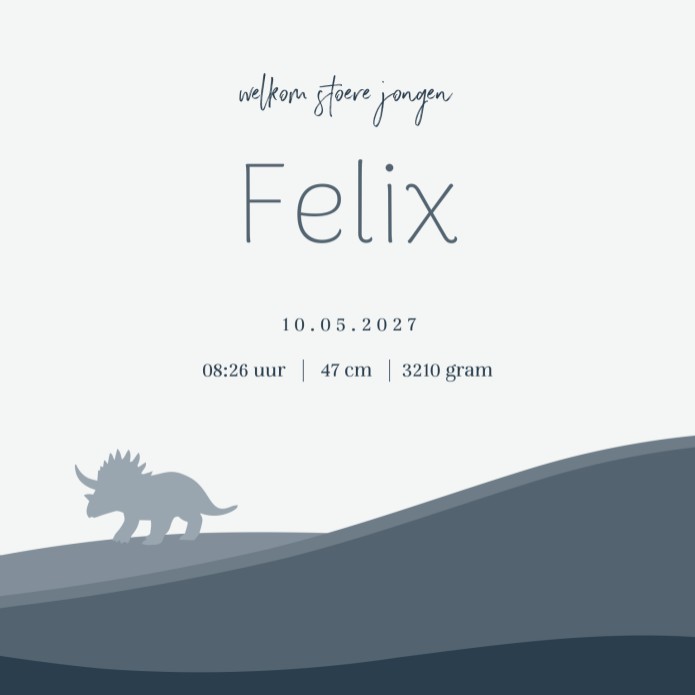 Geboortekaartje jongen dinosaurus Felix
