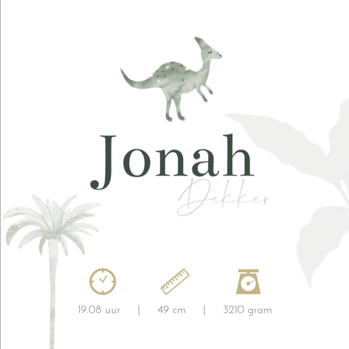 Geboortekaartje jongen dino botanical groen Jonah