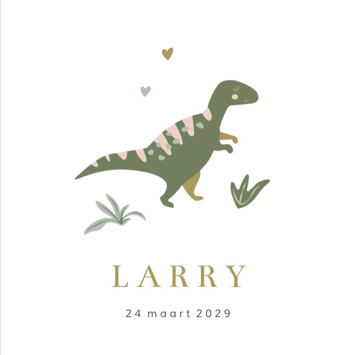 Geboortekaartje jongen dino Larry