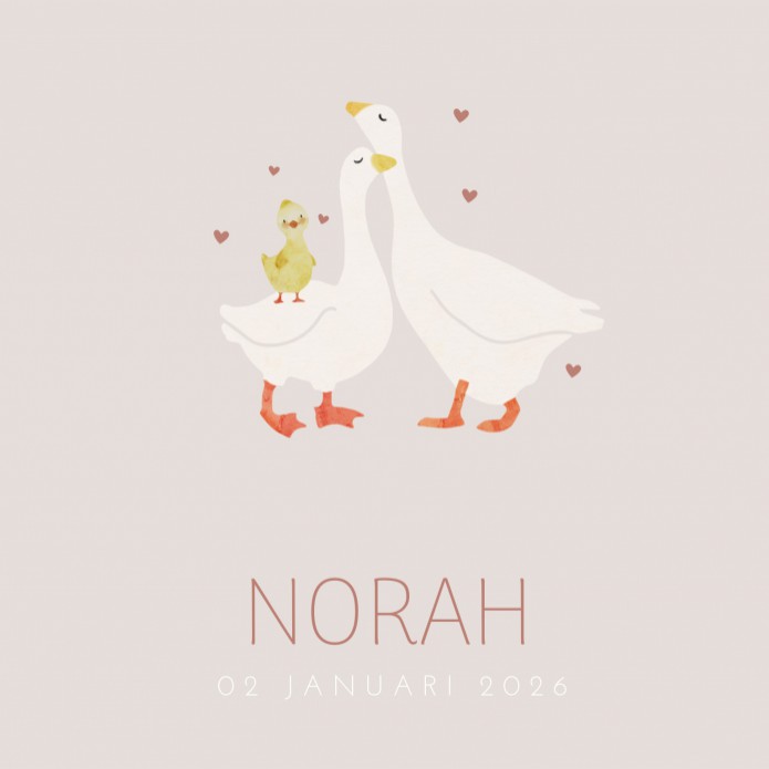 Geboortekaartje meisje gansjes taupe Norah voor