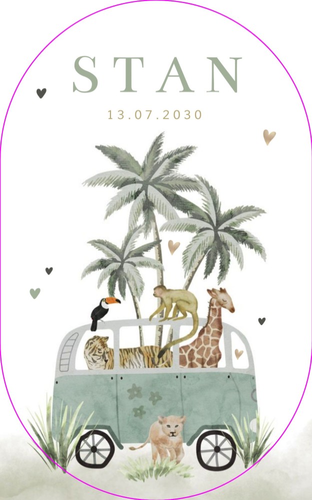 Geboortekaartje jongen jungledieren ovaal Stan