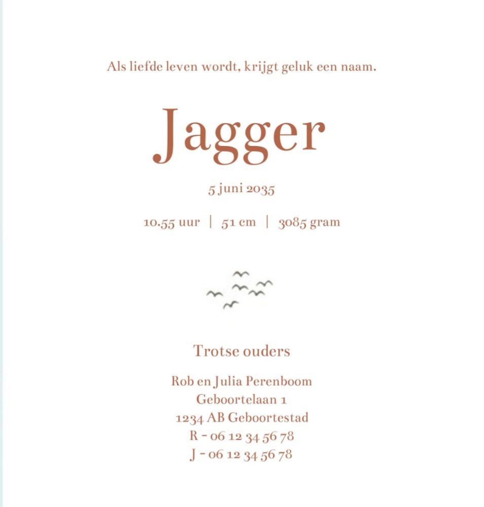Rechter binnenzijde van geboortekaartje Jagger
