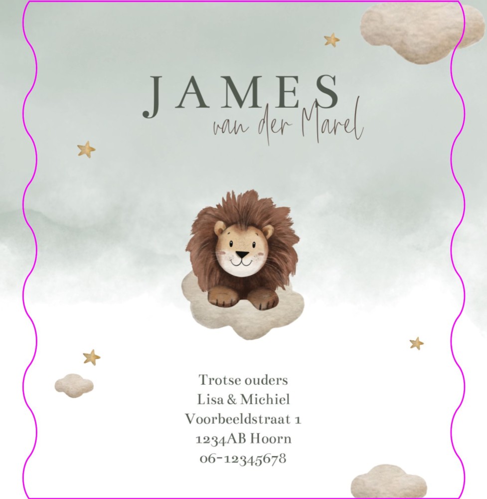 Geboortekaartje jongen luchtballon jungledieren met geboortegegevens James