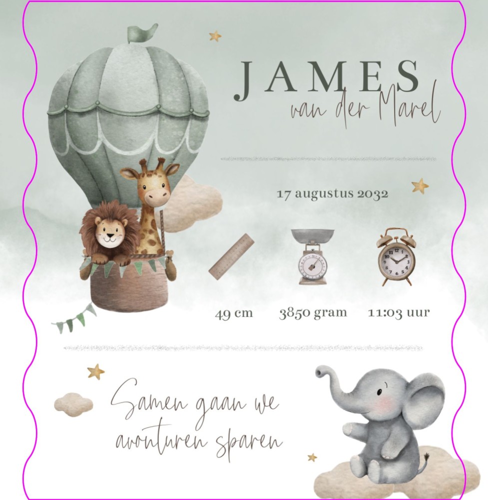 Geboortekaartje jongen luchtballon jungledieren met geboortegegevens James