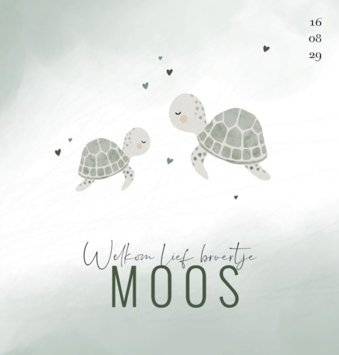 Geboortekaartje jongen schildpadden Moos
