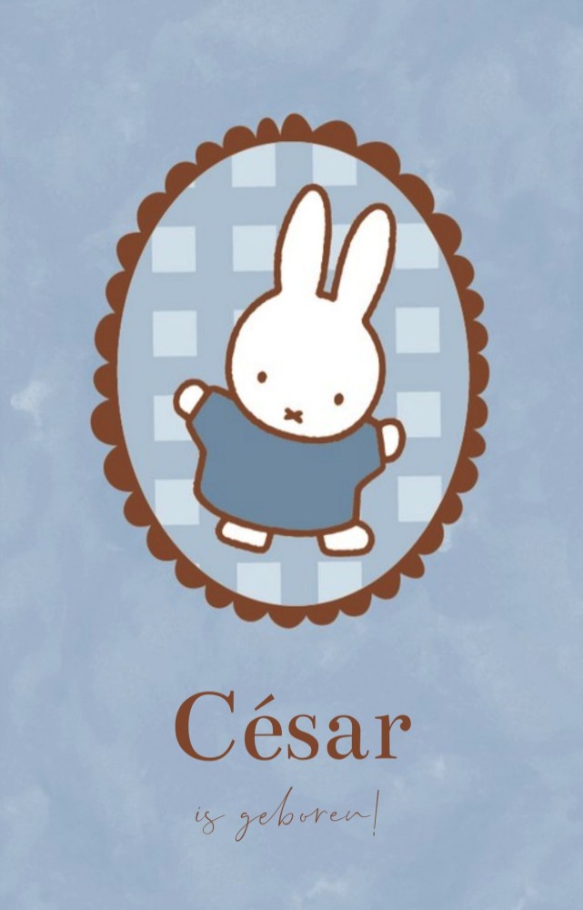 Voorkant van geboortekaartje nijntje blauw ovaal kader César