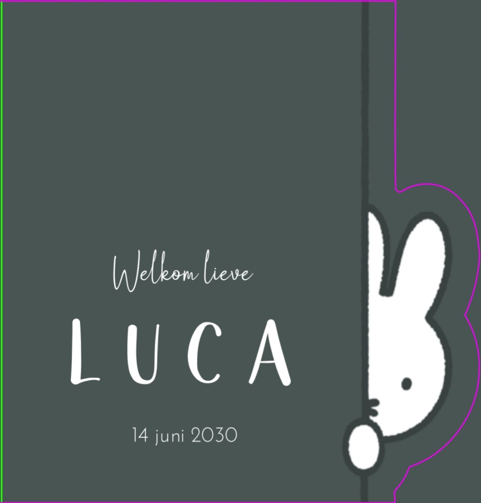 Geboortekaartje jongen nijntje uitsnede Luca