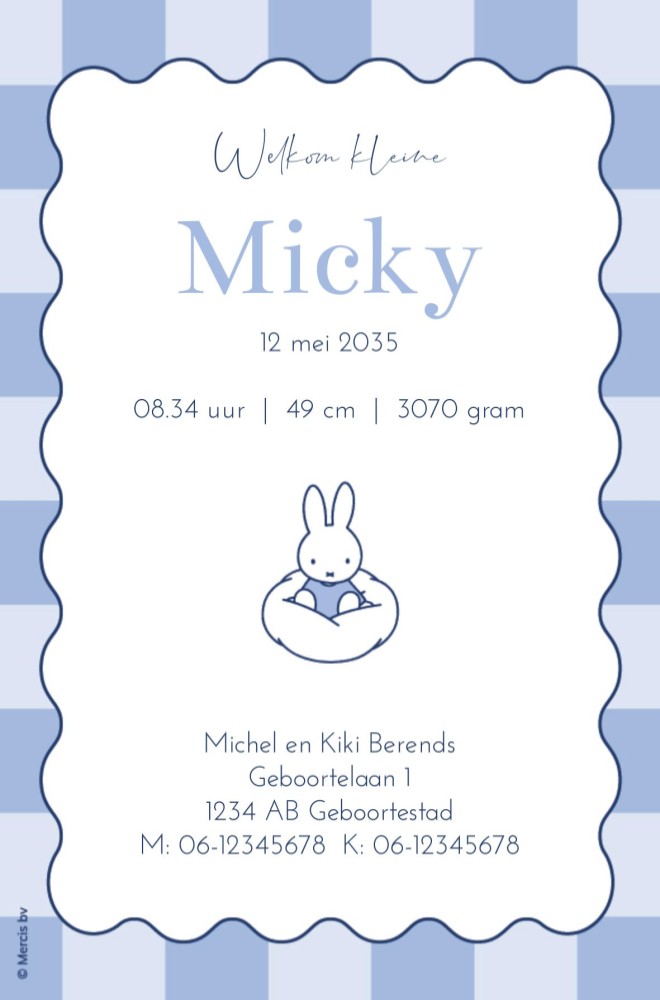 Achterkant van geboortekaartje nijntje op wolk blauw Mick