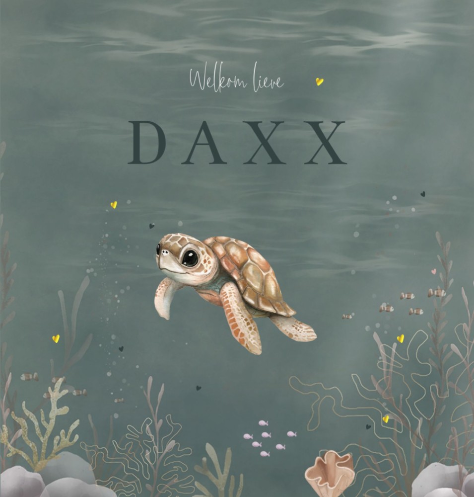 Geboortekaartje jongen onderwater schildpad Daxx