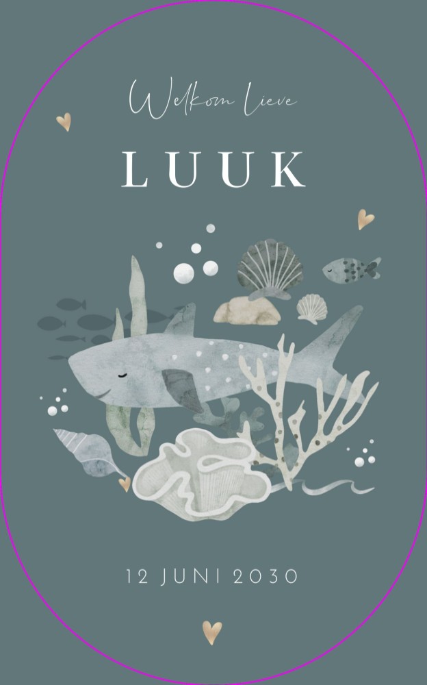 Ovaal geboortekaartje jongen haai Luuk