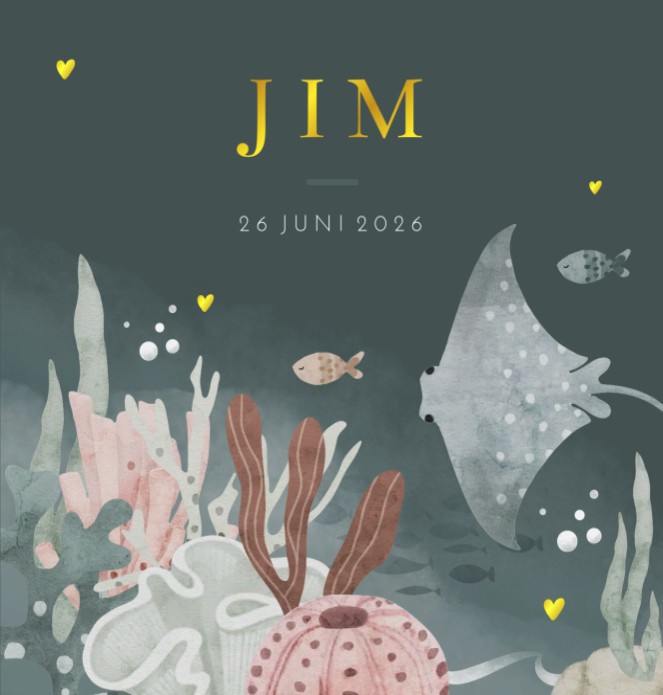 Geboortekaartje jongen onderwaterwereld vis Jim