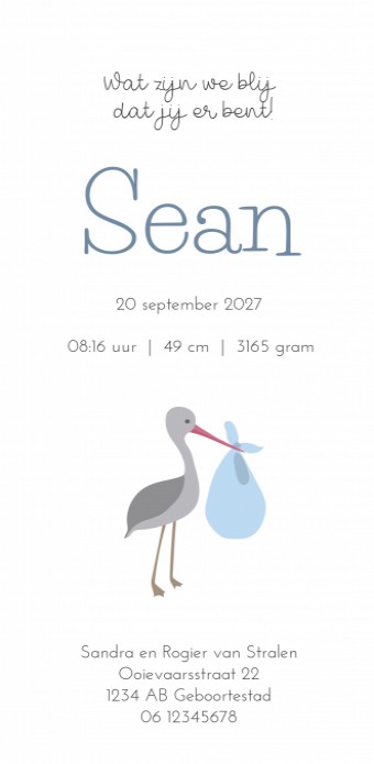 Geboortekaartje jongen ooievaar blauwe aquarel Sean