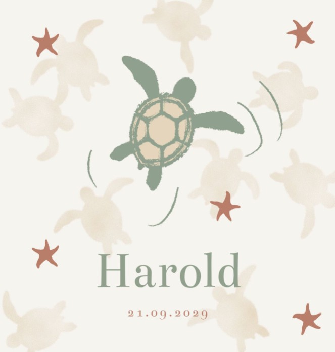Geboortekaartje neutraal schildpad Harold
