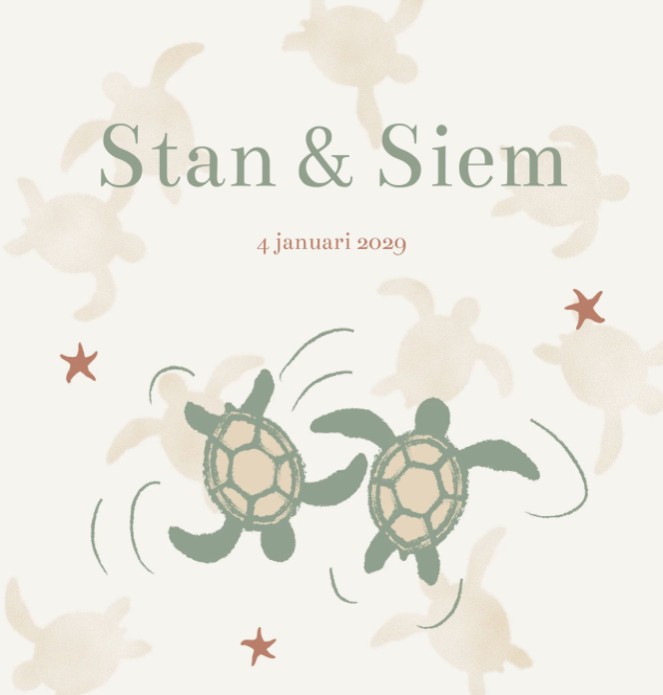 Geboortekaartje tweeling schildpad Stan en Siem