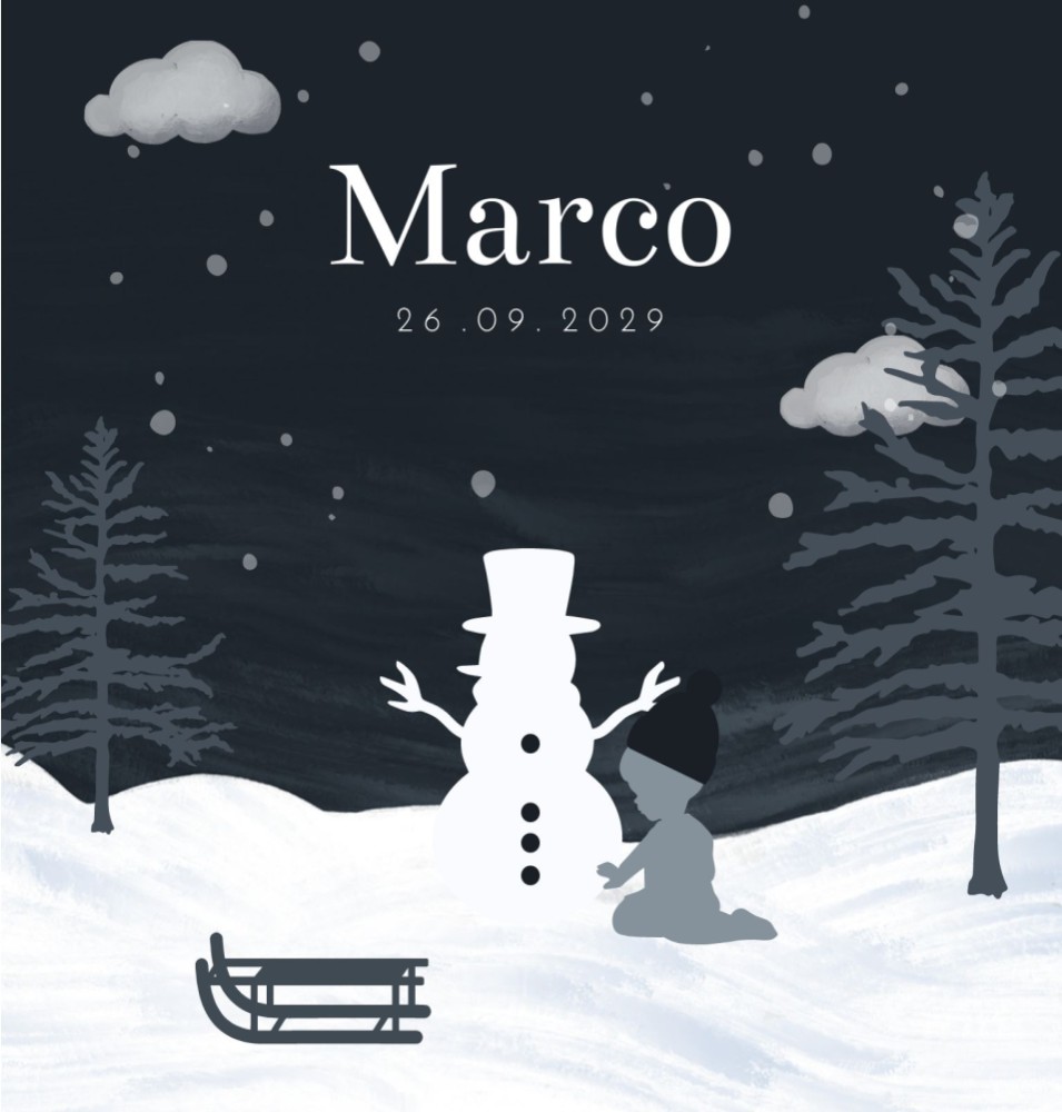 Geboortekaartje jongen silhouet winter Marco
