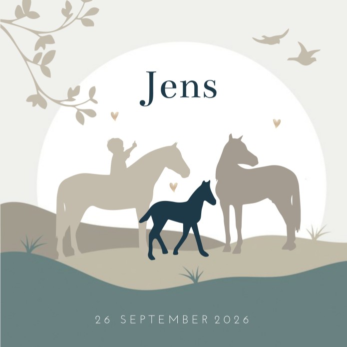 Geboortekaartje jongen silhouette paard Jens
