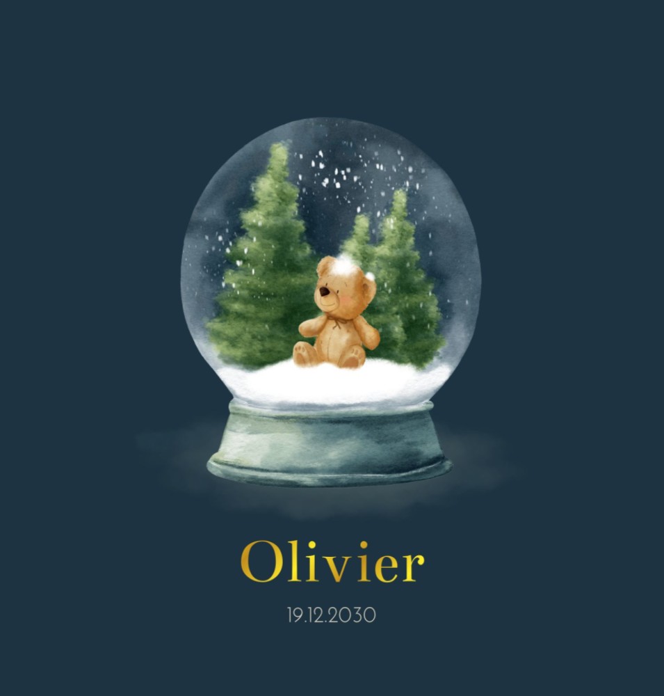 Geboortekaartje jongen teddybeer in sneeuwbol Olivier