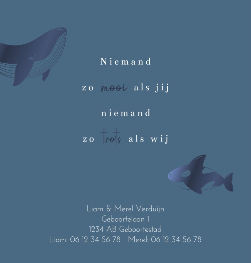 kaart binnenzijde links