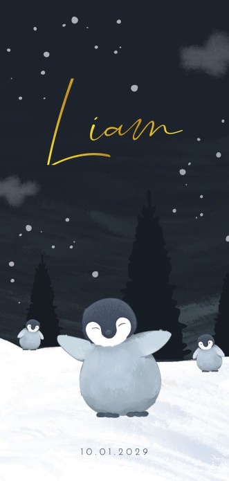 Geboortekaartje jongen winter pinguïn Liam