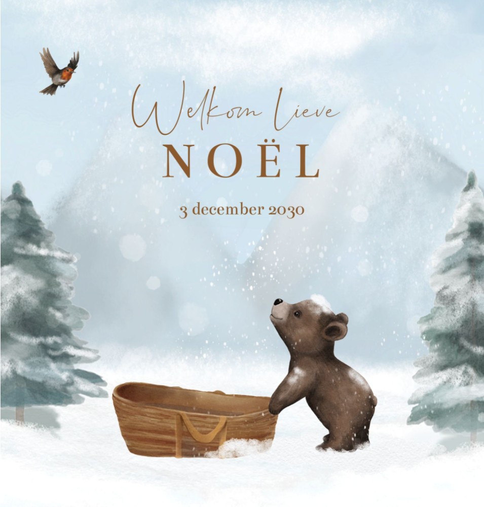 Geboortekaartje jongen winter Noël