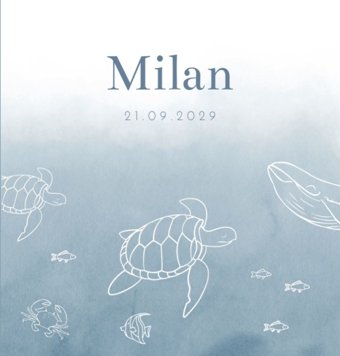 Geboortekaartje jongen zeedieren Milan