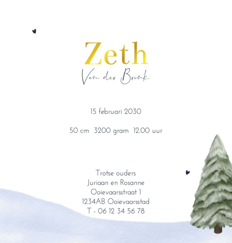 Rechter binnenzijde van geboortekaartje Zeth