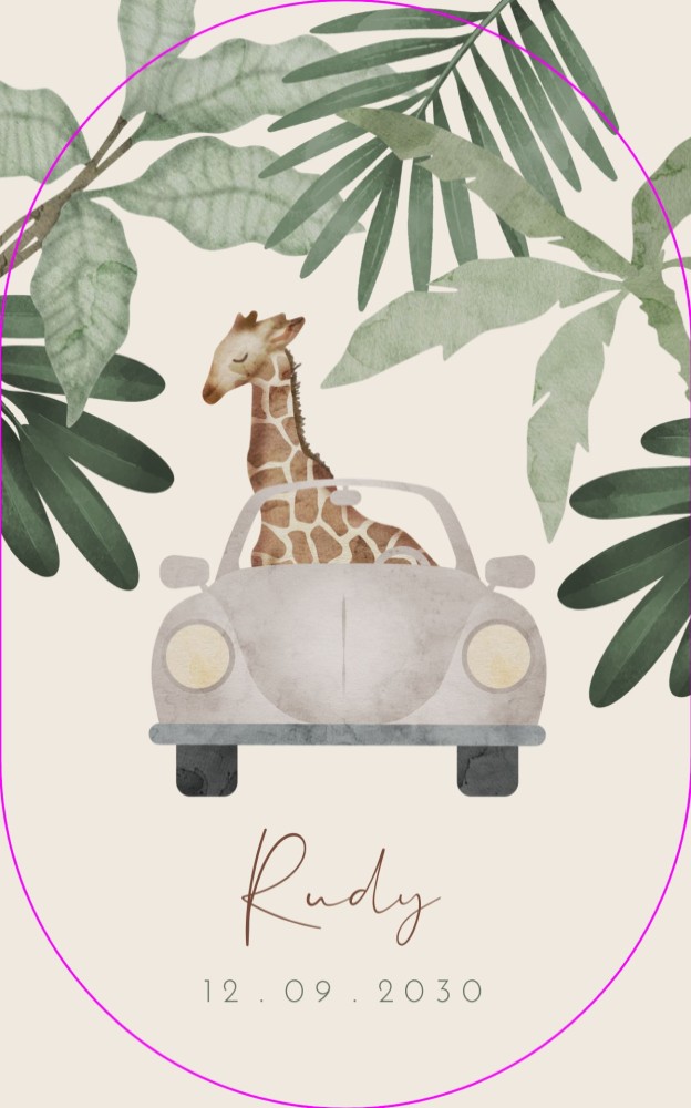 Geboortekaartje jongen auto giraf Rudy