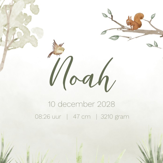 Geboortekaartje jongen bosdieren Noah