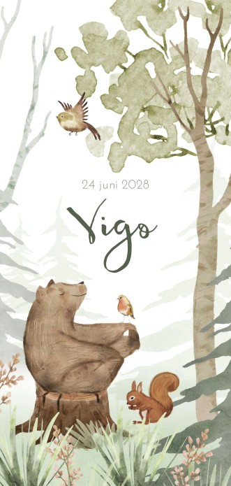 Geboortekaartje jongen bosdieren beer aquarel Vigo