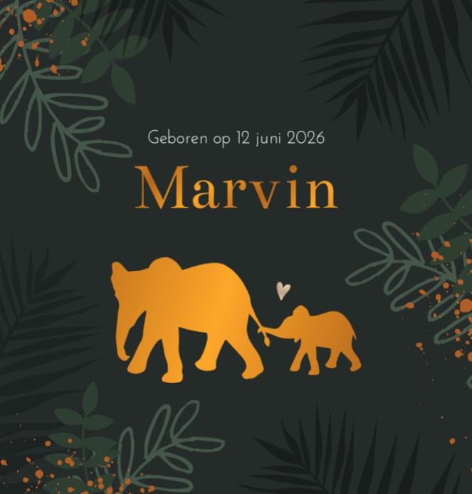 Geboortekaartje jongen olifant Marvin