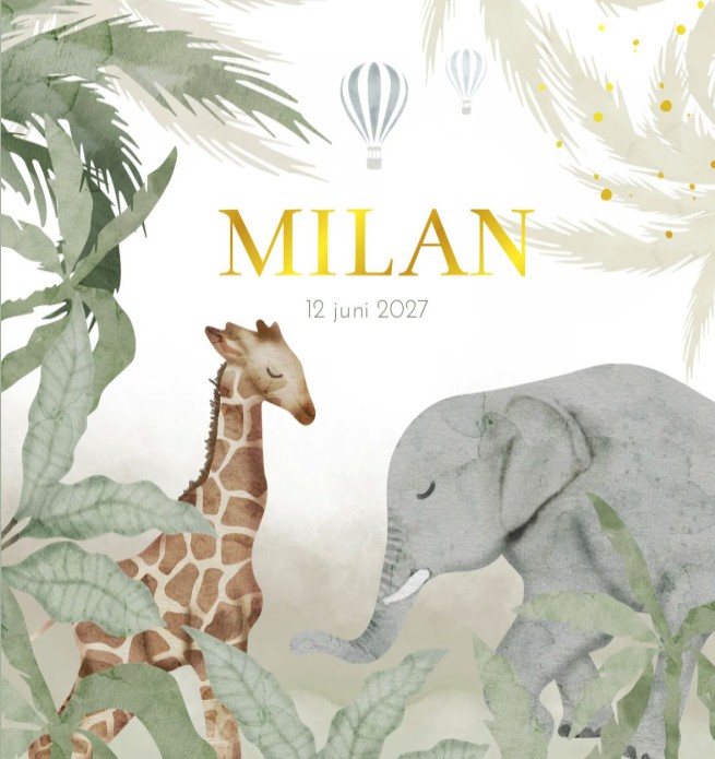 Geboortekaartje jongen jungledieren olifant Milan
