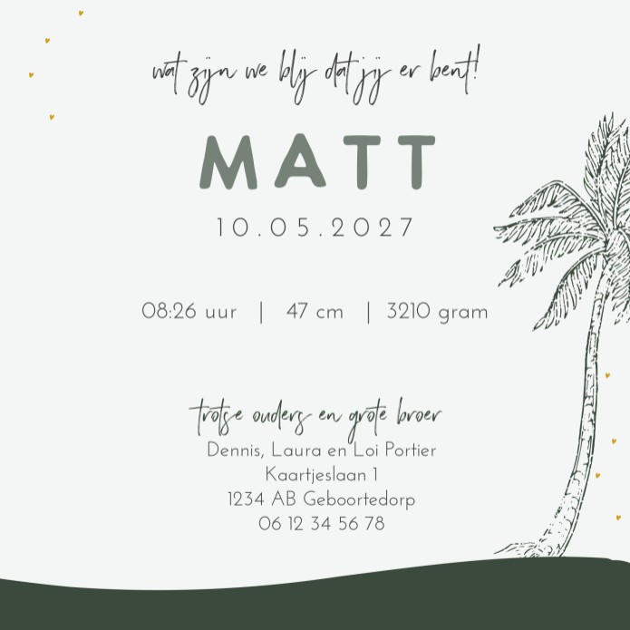 Geboortekaartje jongen groen lijntekeningen Matt