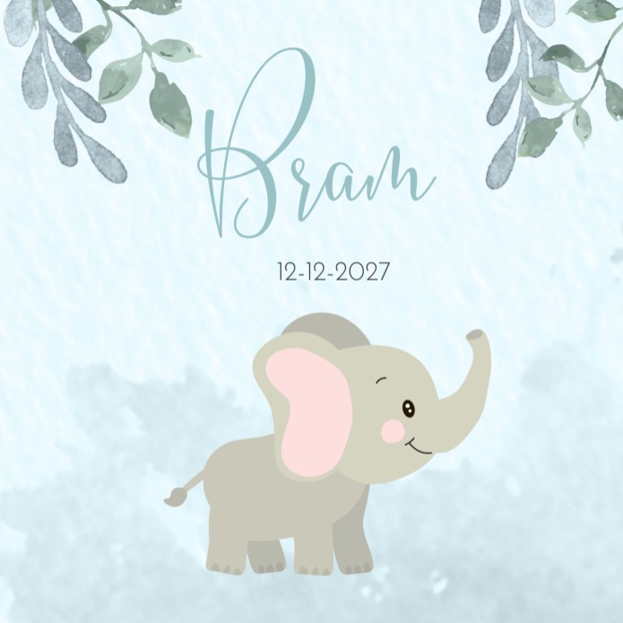 Geboortekaartje jongen dieren olifant watercolor Bram