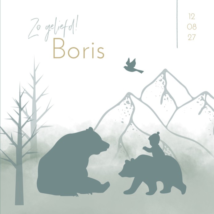 Geboortekaartje jongen silhouetten beren Boris