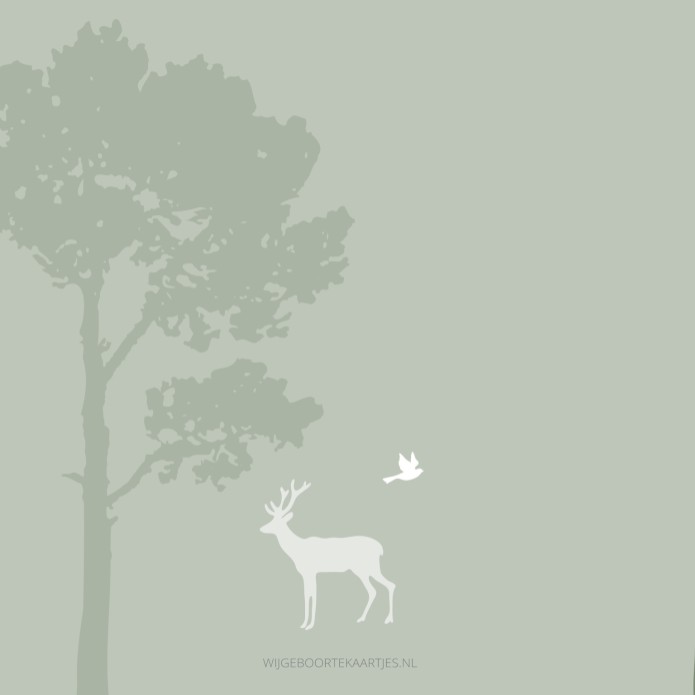 Geboortekaartje jongen silhouette groen bosdieren Sander
