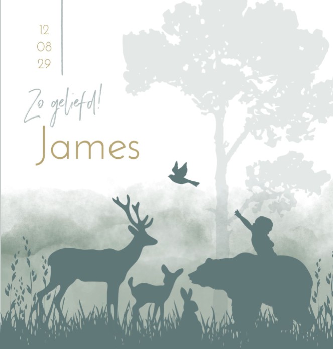 Geboortekaartje jongen silhouette bosdieren James