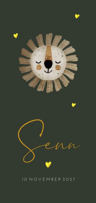 Geboortekaartje jongen leeuw groen Senn