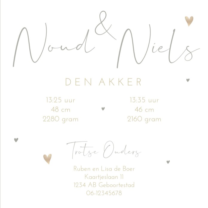 Geboortekaartje tweeling watercolor Noud & Niels binnen