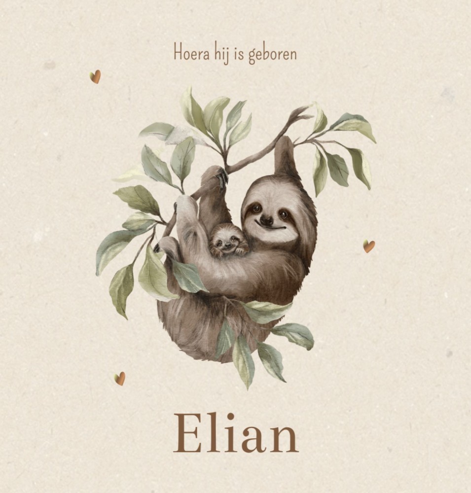 Geboortekaartje neutraal jungle luiaards Elian