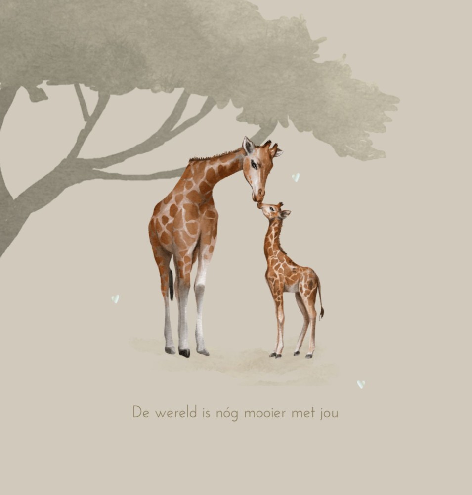 kaart binnenzijde links