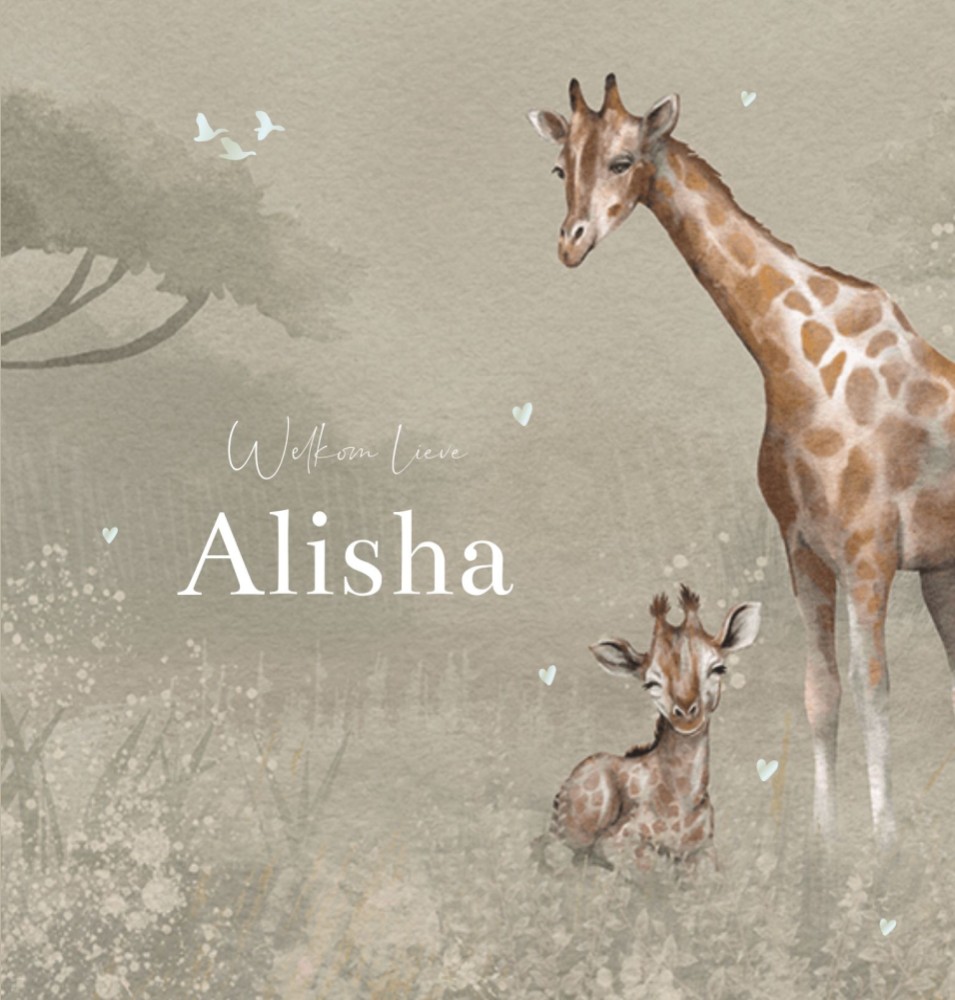 Geboortekaartje neutraal jungledieren giraf Alisha