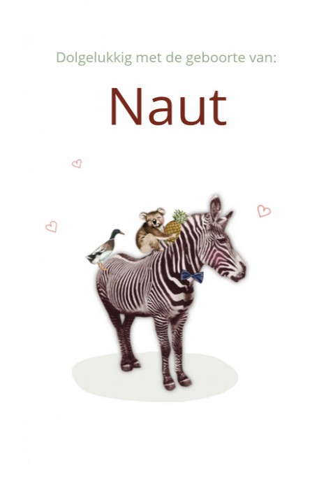 Geboortekaartje Jungle Zebra Naut